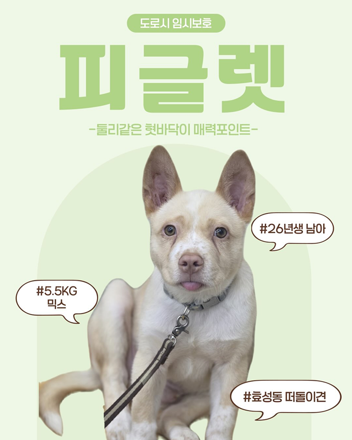 피글렛