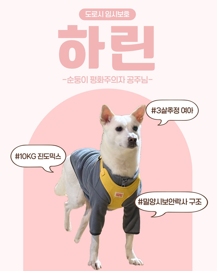 하린